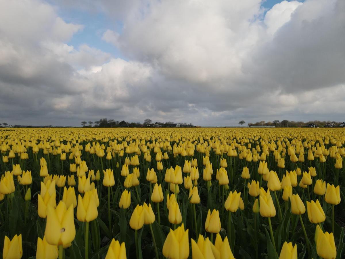Camping De Tulpenweide Lege Kampeerplaats, Lege Plaats Op Het Gras Zonder Bed Breezand Esterno foto