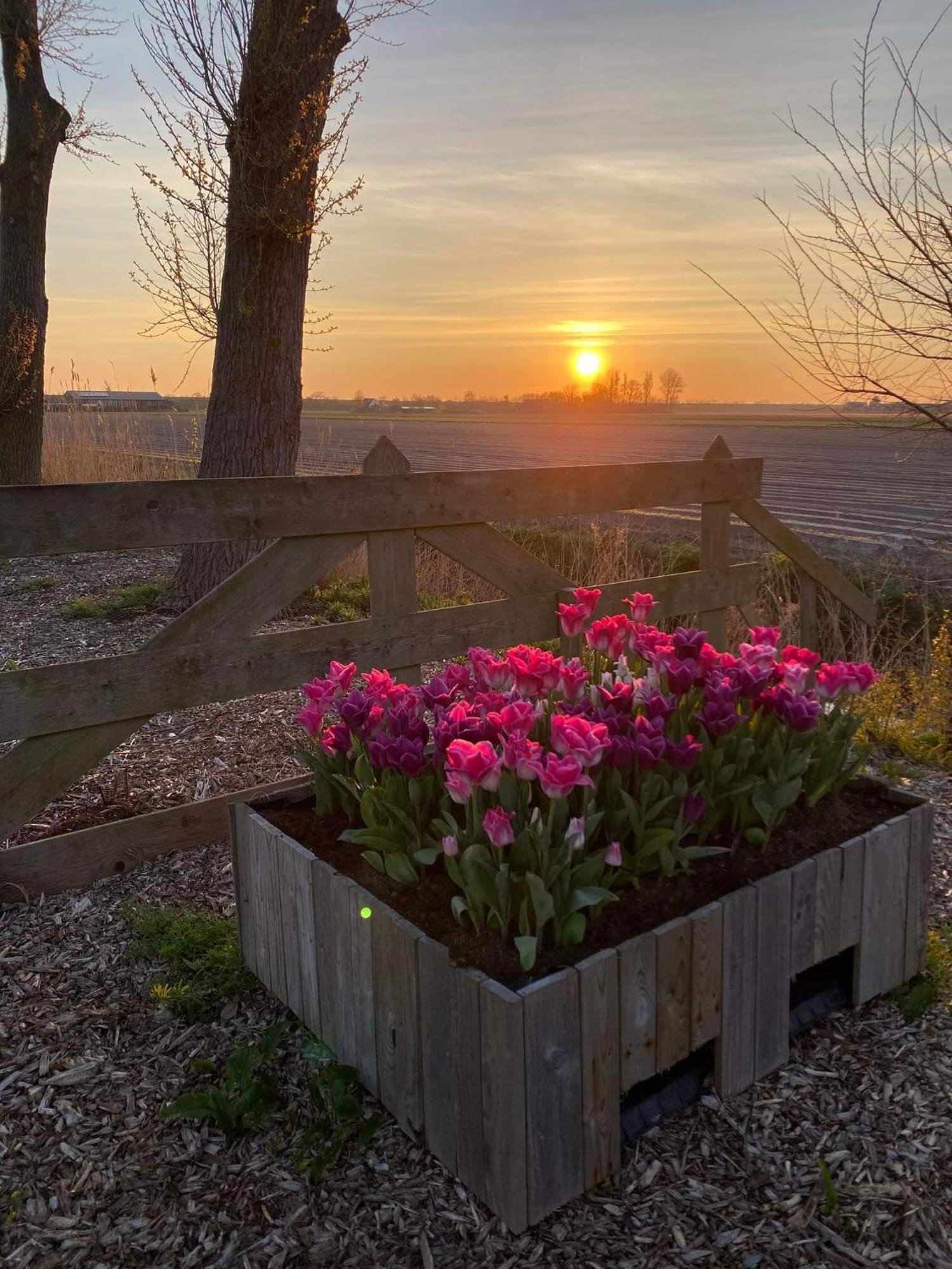 Camping De Tulpenweide Lege Kampeerplaats, Lege Plaats Op Het Gras Zonder Bed Breezand Esterno foto