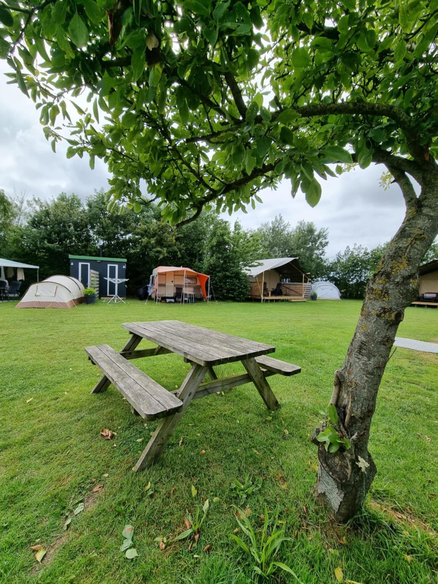Camping De Tulpenweide Lege Kampeerplaats, Lege Plaats Op Het Gras Zonder Bed Breezand Esterno foto