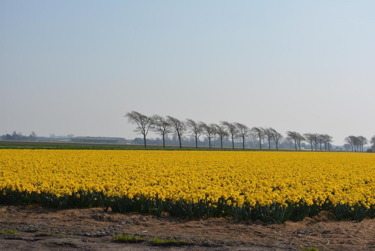 Camping De Tulpenweide Lege Kampeerplaats, Lege Plaats Op Het Gras Zonder Bed Breezand Esterno foto