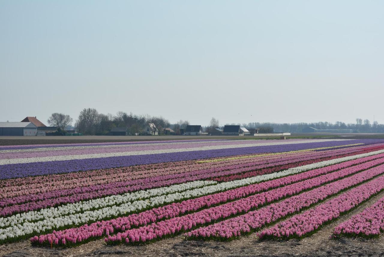 Camping De Tulpenweide Lege Kampeerplaats, Lege Plaats Op Het Gras Zonder Bed Breezand Esterno foto