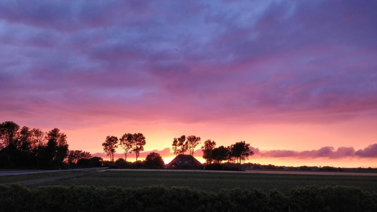 Camping De Tulpenweide Lege Kampeerplaats, Lege Plaats Op Het Gras Zonder Bed Breezand Esterno foto